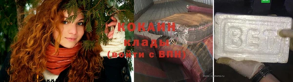 индика Богданович