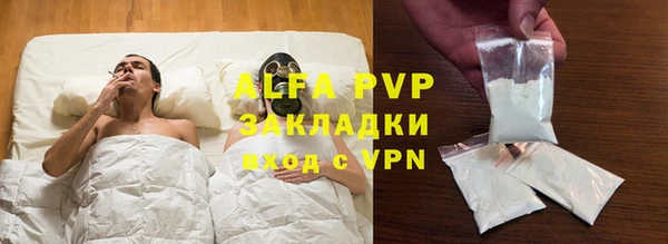 твердый Бородино