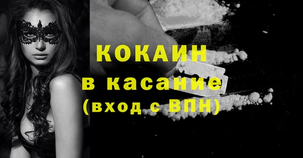 твердый Бородино