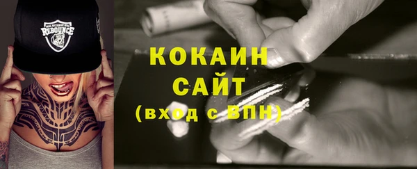 твердый Бородино
