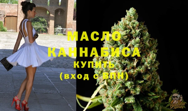 твердый Бородино