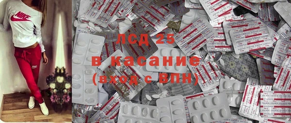 твердый Бородино