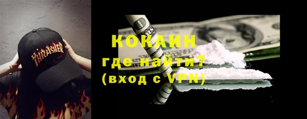 твердый Бородино