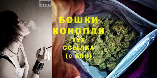 твердый Бородино