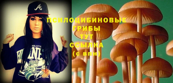 индика Гвардейск