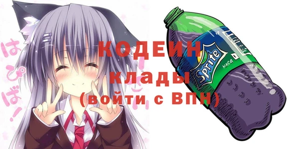 твердый Бородино
